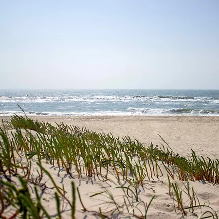 Hébergement de vacances Beachside House Torreira