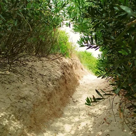 Beachside House 펜션 *