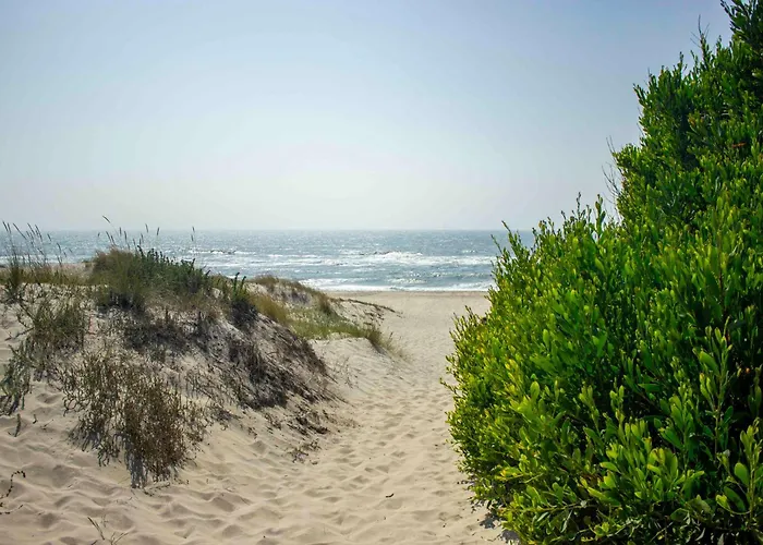 Hébergement de vacances Beachside House Torreira