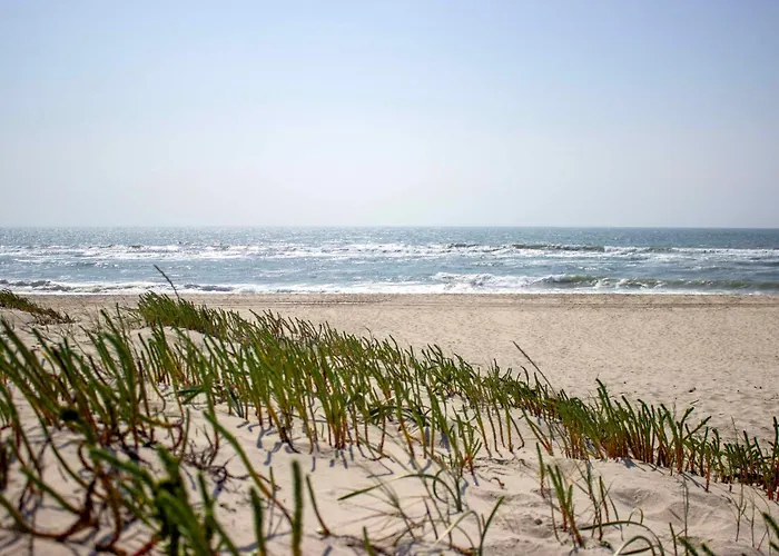 Hébergement de vacances Beachside House Torreira